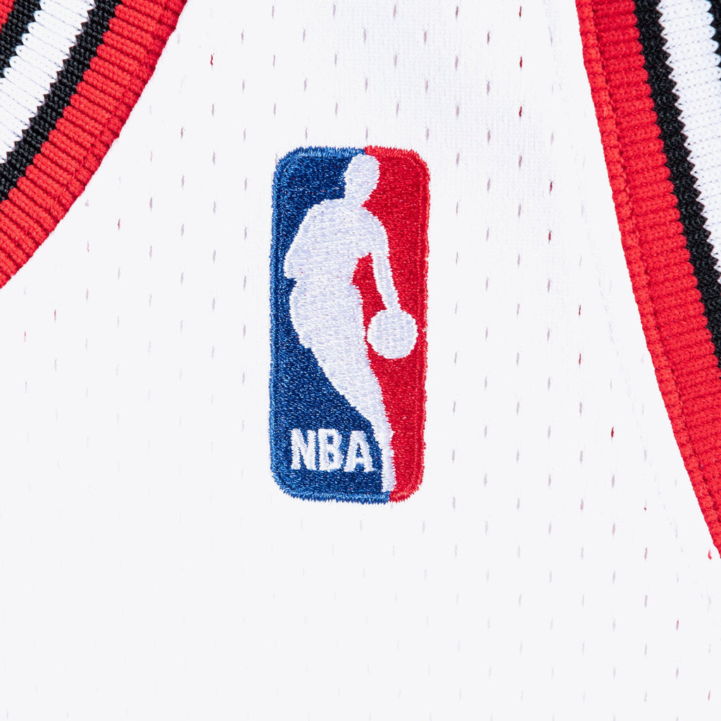 Chicago Bulls Authentic Jersey Michael Jordan 1995-96