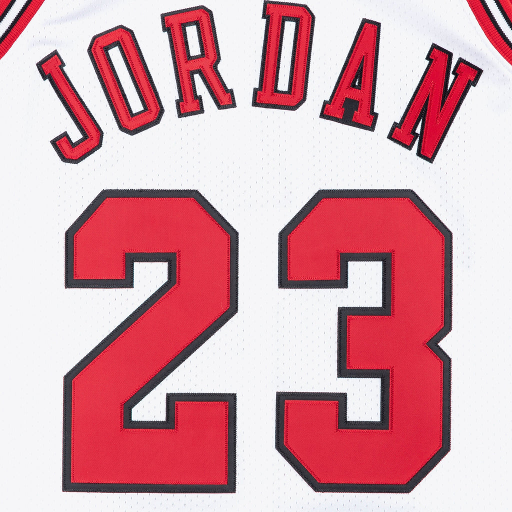Chicago Bulls Authentic Jersey Michael Jordan 1995-96