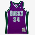 Milwaukee Bucks Swingman Jersey Ray Allen 2001-02