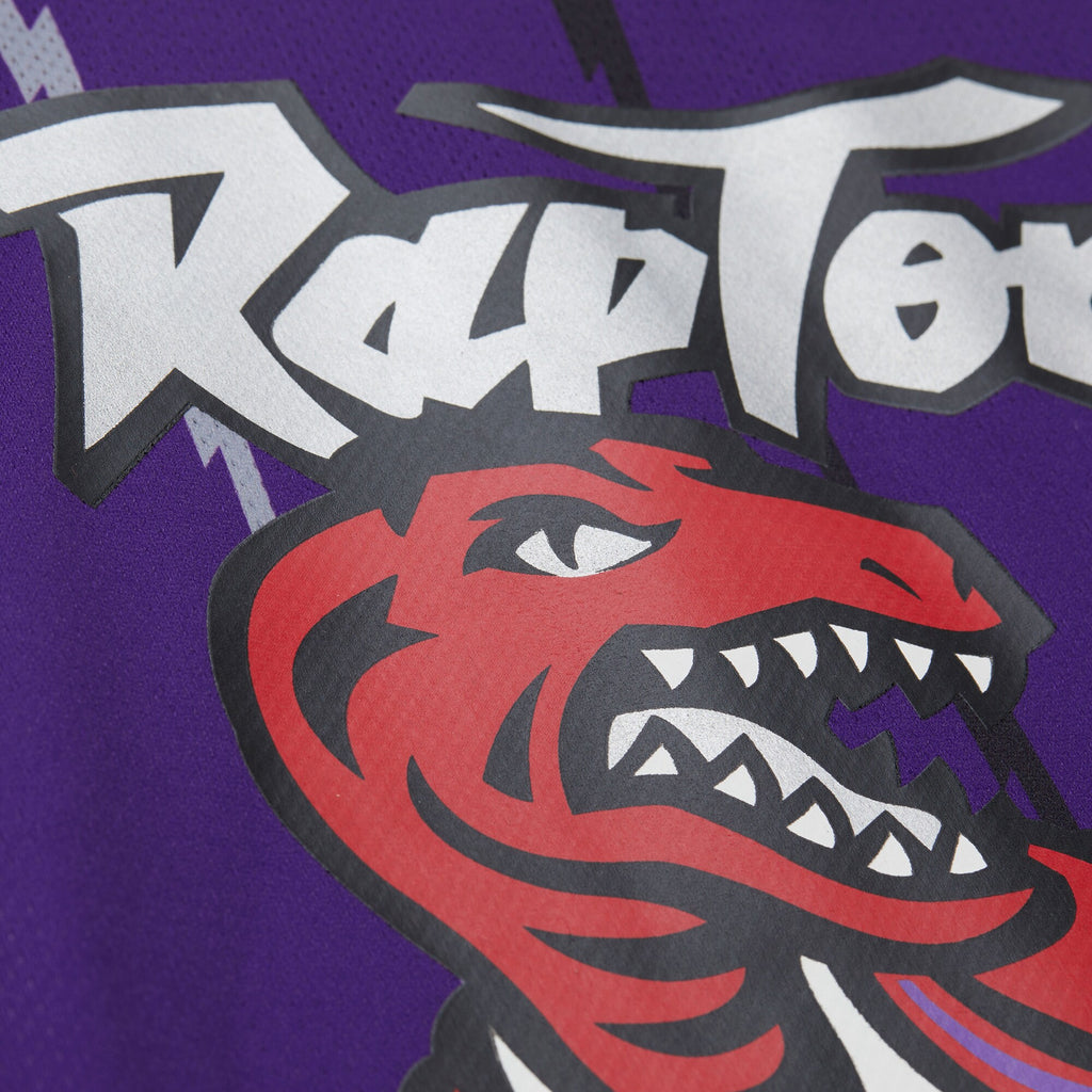 Unisex Vince Carter Purple Toronto Raptors Maxxed Out Fashion Hockey Jersey