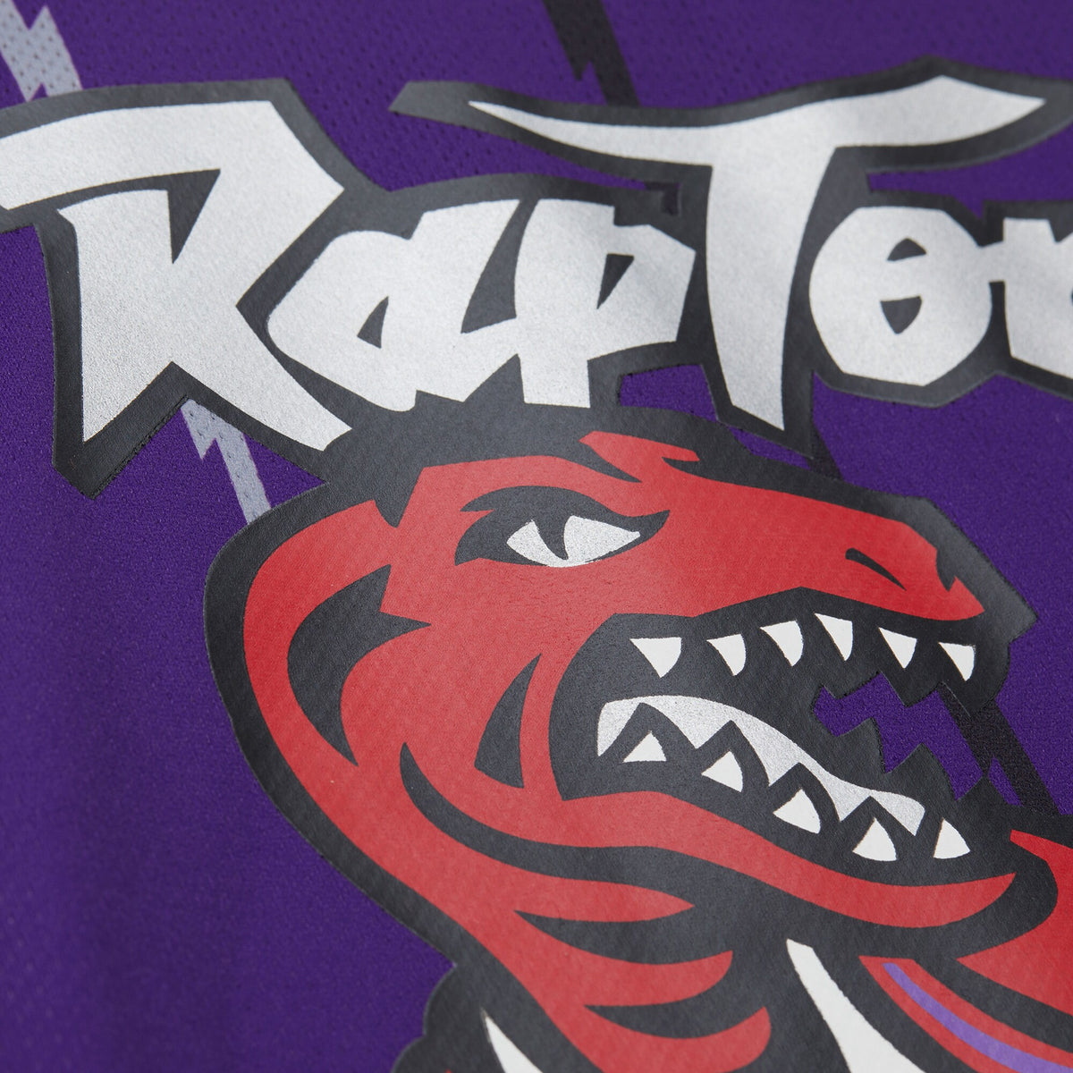 Unisex Vince Carter Purple Toronto Raptors Maxxed Out Fashion Hockey Jersey