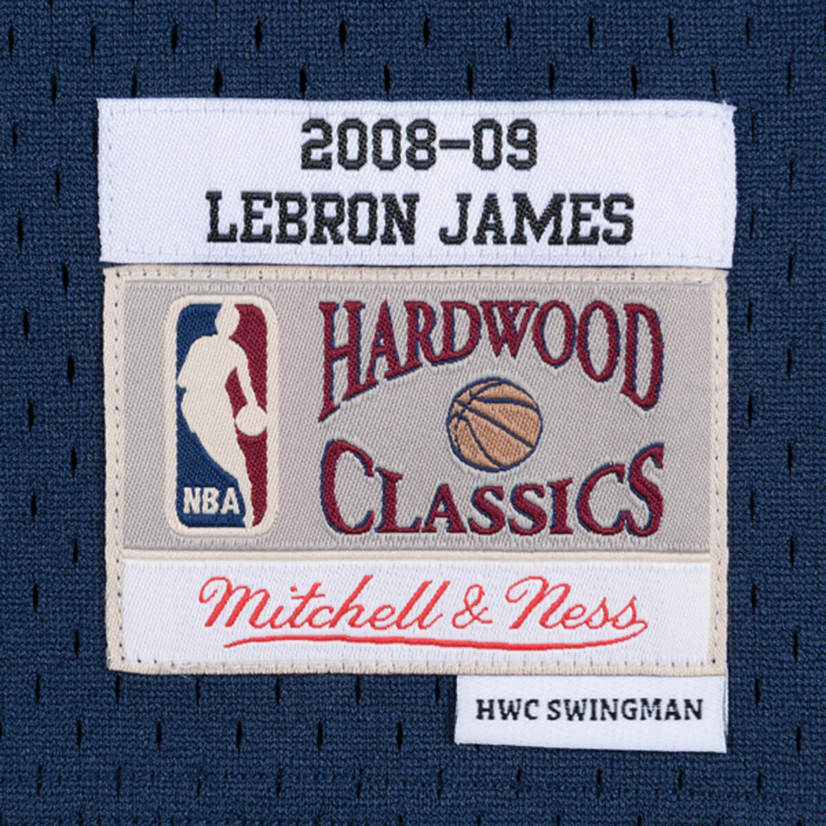 Men's LeBron James Navy Cleveland Cavaliers 2008-09 Hardwood Classics Swingman Jersey