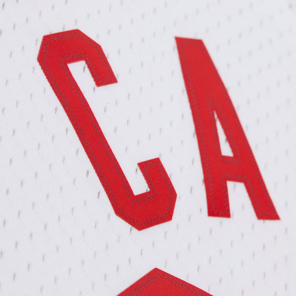 New Jersey Nets Swingman Jersey - Mens - Vince Carter