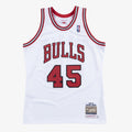 Chicago Bulls Authentic Jersey Michael Jordan 1994-95