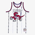 Toronto Raptors Swingman Jersey Tracy McGrady 1998-99