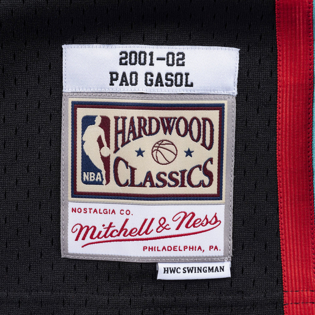 Memphis Grizzlies Swingman Jersey Pau Gasol 2001-02