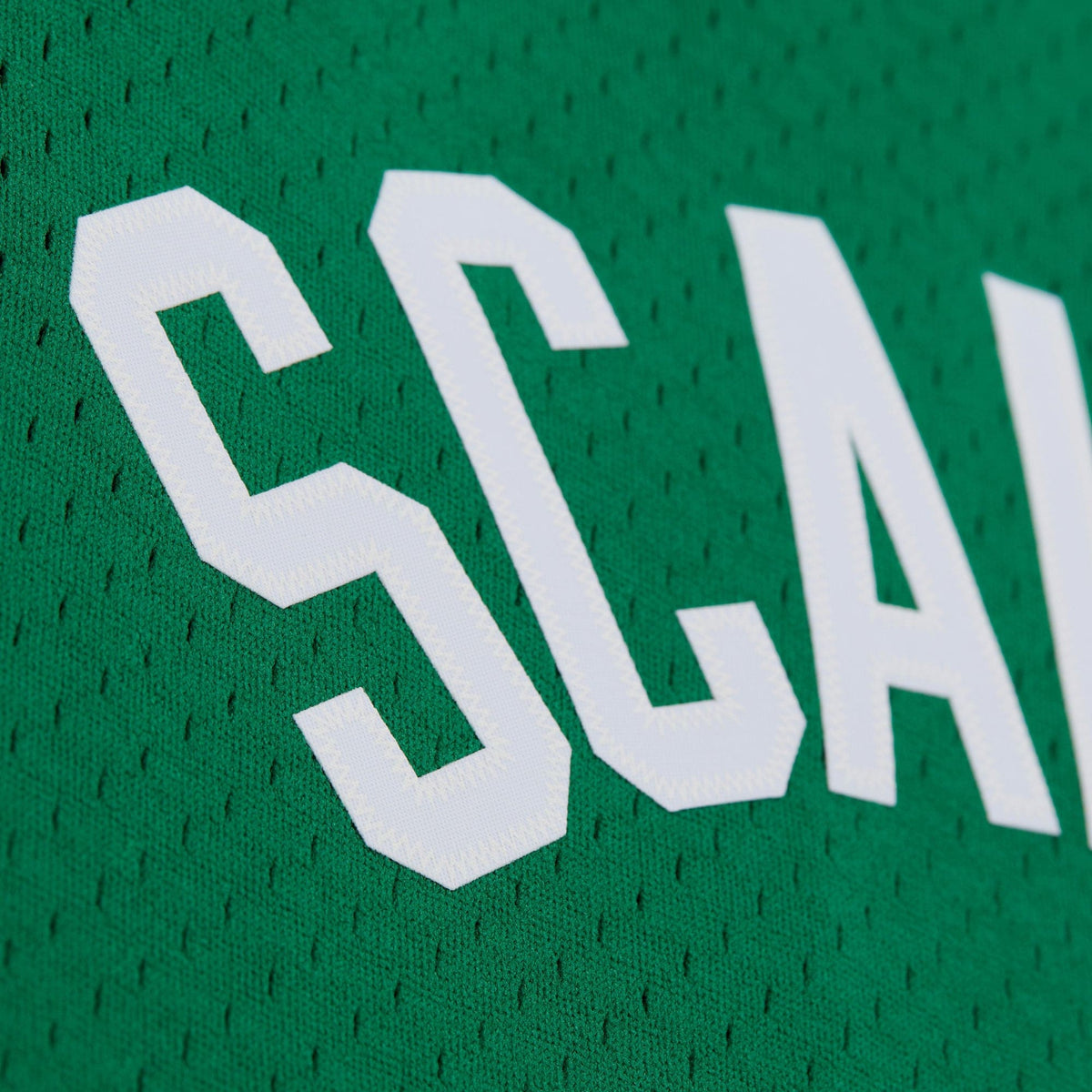 Boston Celtics Swingman Jersey - Mens - Brian Scalabrine