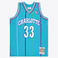 Charlotte Hornets NBA Swingman Jersey - Alonzo Mourning