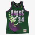 Milwaukee Bucks Swingman Jersey Alternate Ray Allen 1996-97